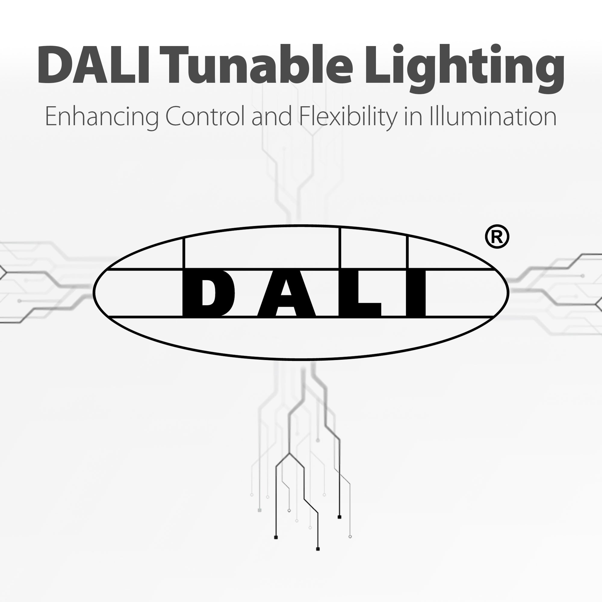 DALI Tunable Lighting