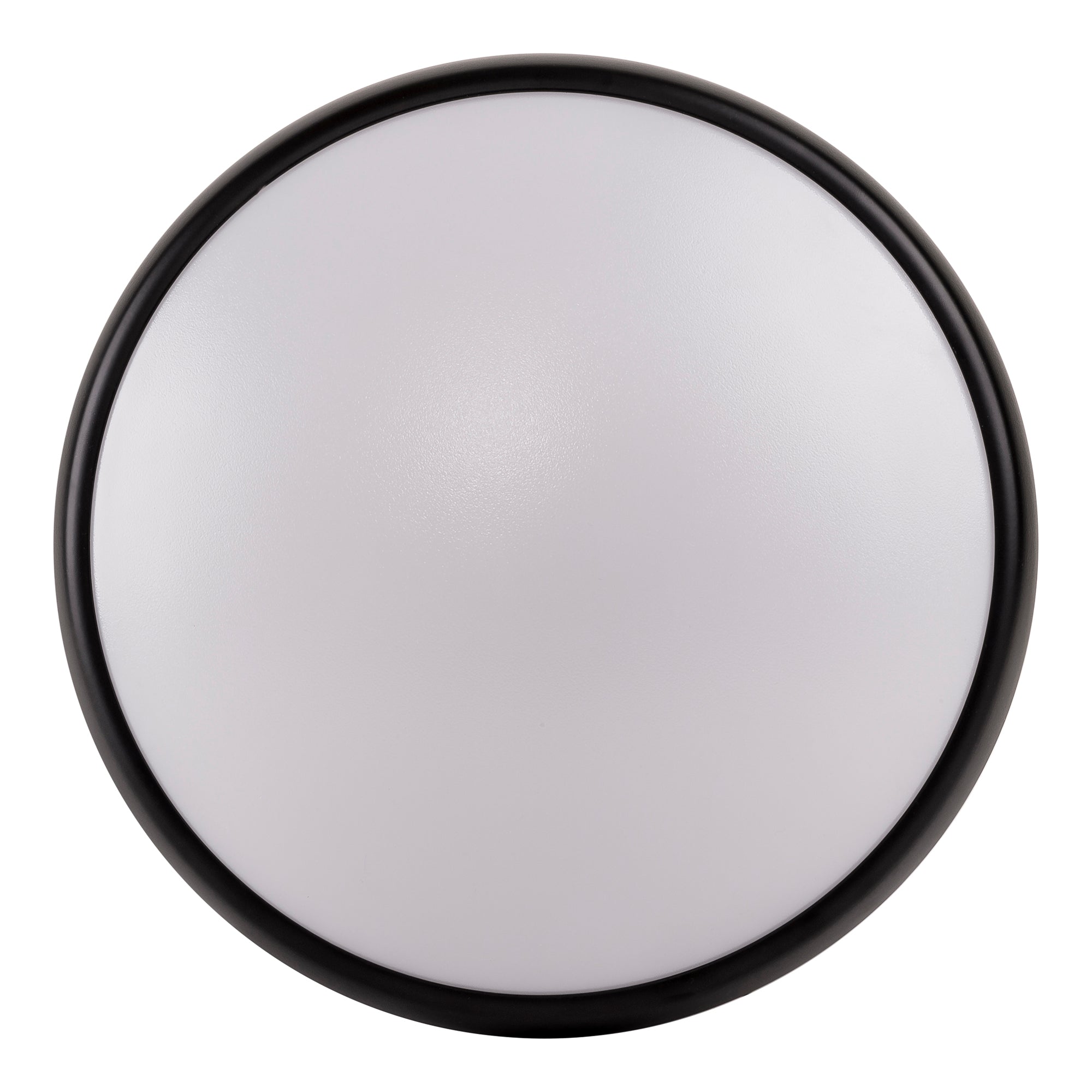 Ostron Oyster Lights – Havit Lighting