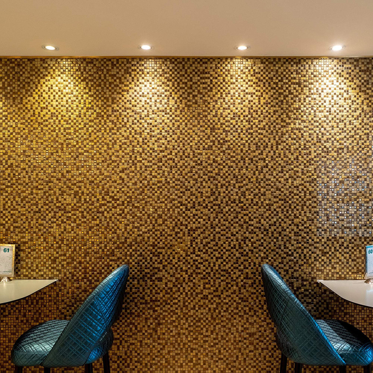 LED Downlights