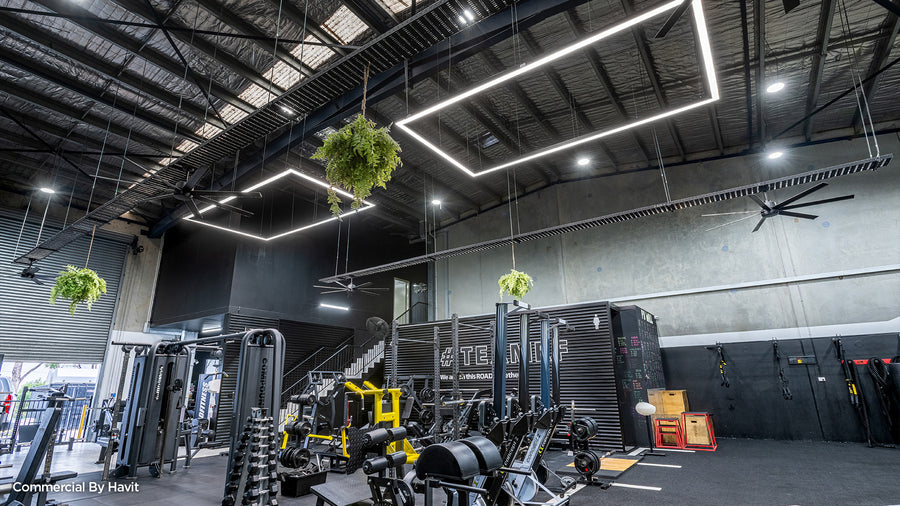 Havit Rectangle Linear Pendant Lights in a Commercial Gym Setting