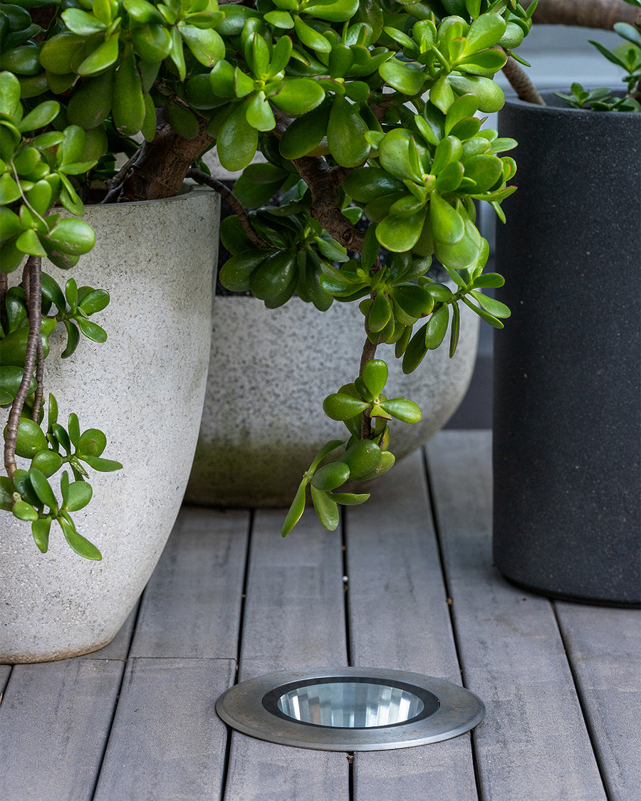 Havit SS316 Stainless Steel Inground Deck Light Among Outdoor Potted Plants
