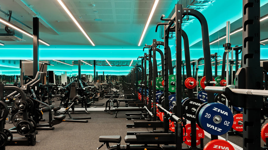 Large Commercial Gym Floor with Teal LED Cove Lighting & Suspended Linear Lights