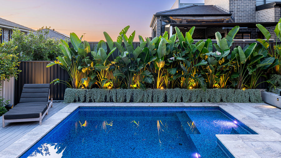 Havit Garden Spike Lights Uplighting Tropical Plants Along a Residential Pool