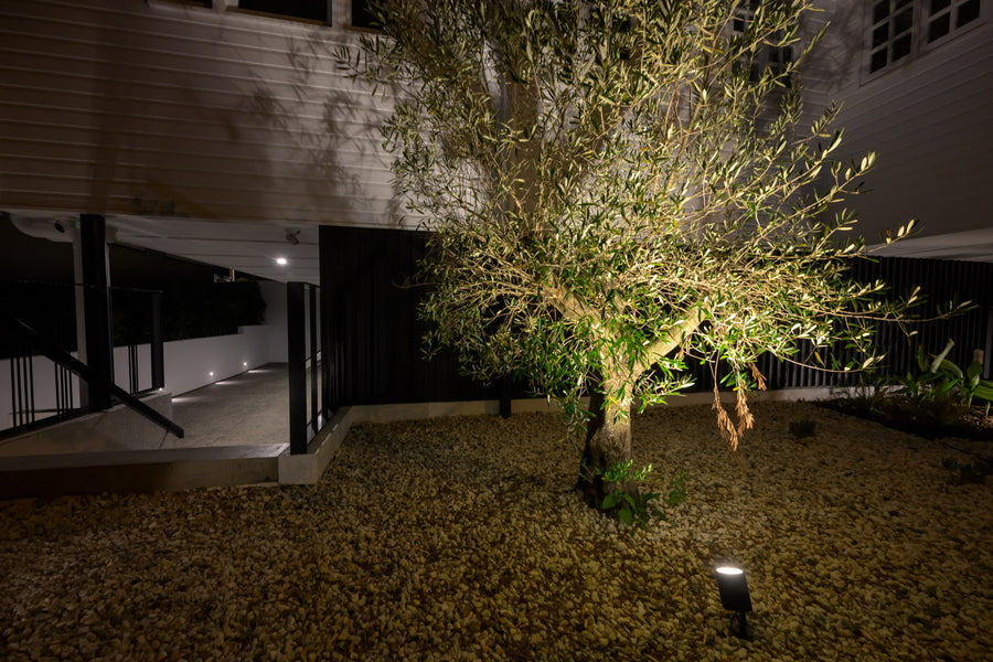 Havit Garden Spike Lights Uplighting a little Tree in a Courtyard at Night