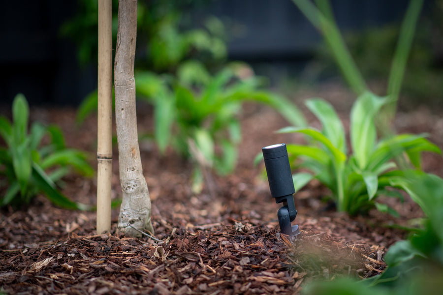 Lille Black LED Garden Spot Light in Mulched Garden Bed