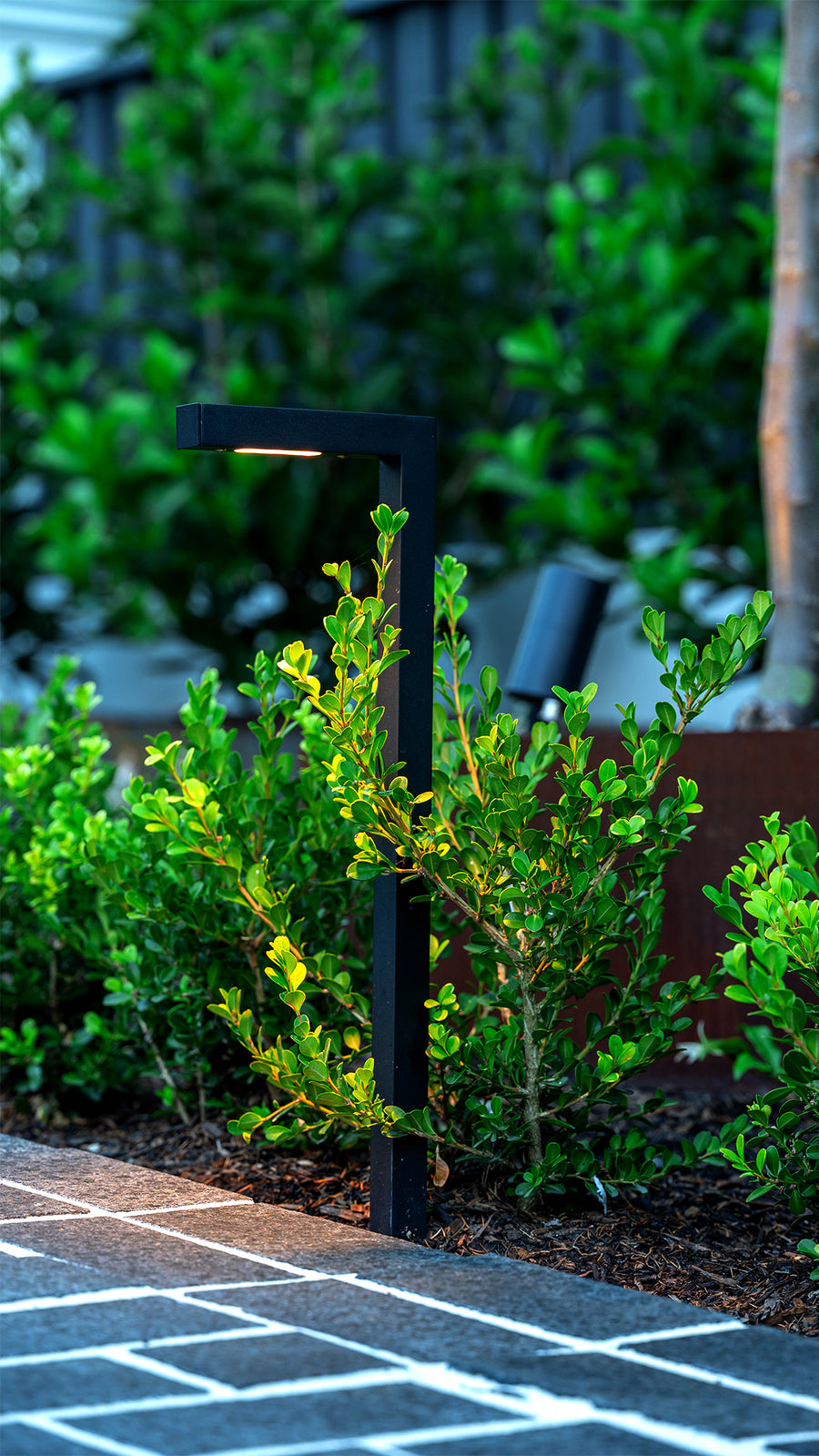Nedia Black Garden Path Light Among Front Garden Shrubs