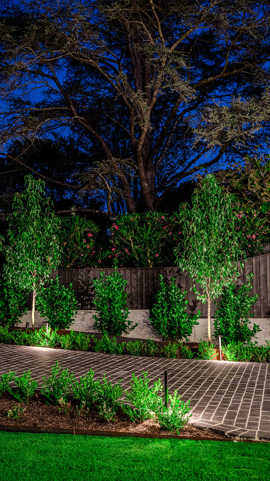 Black Garden Path Light Along Tree Lined Driveway