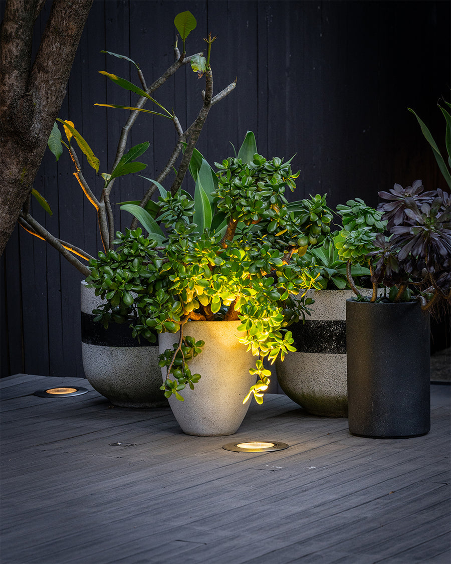 Outdoor Uplighting with Inground LED Lights