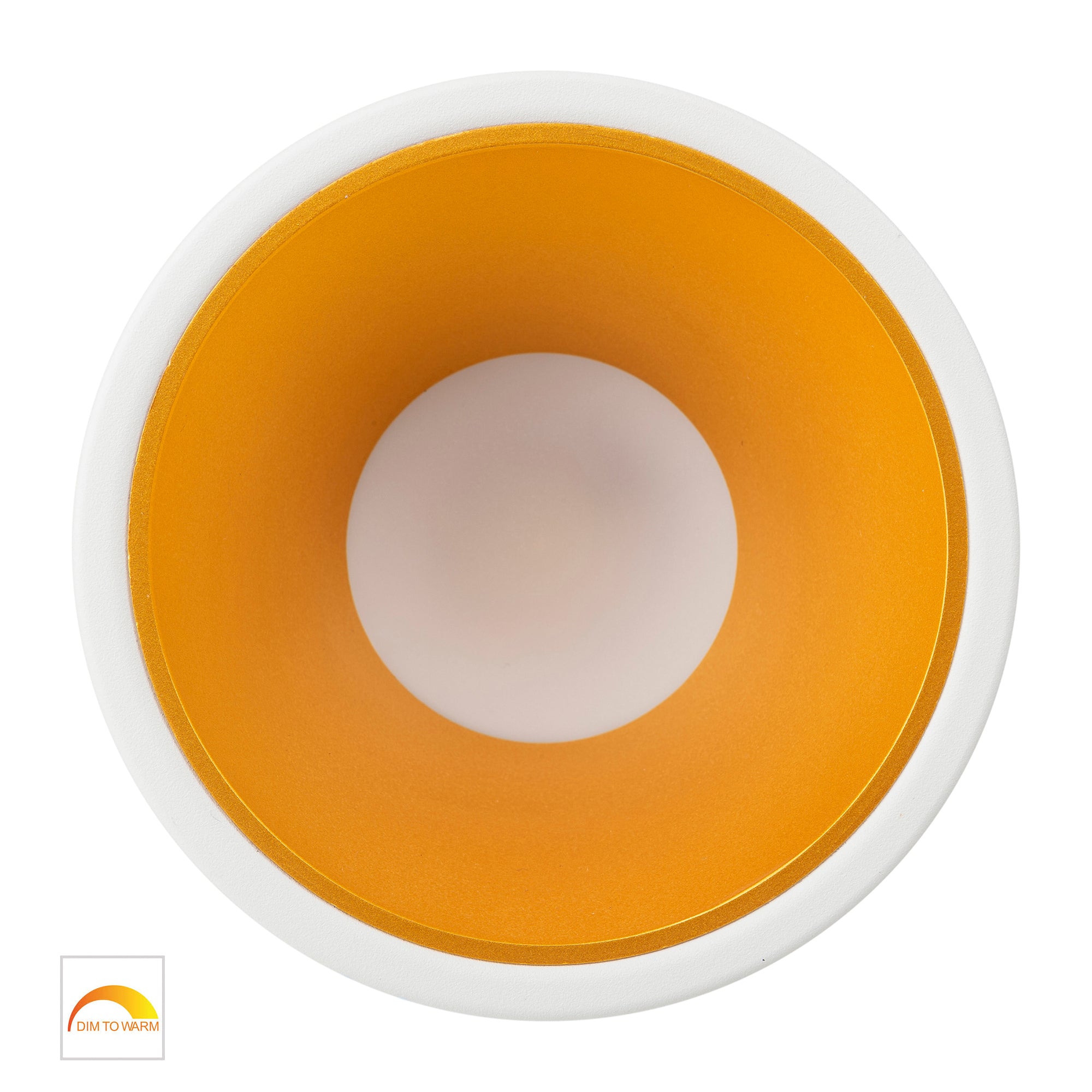 HV5528D2W-WG - Gleam White with Gold Insert Fixed Dim to Warm LED Downlight