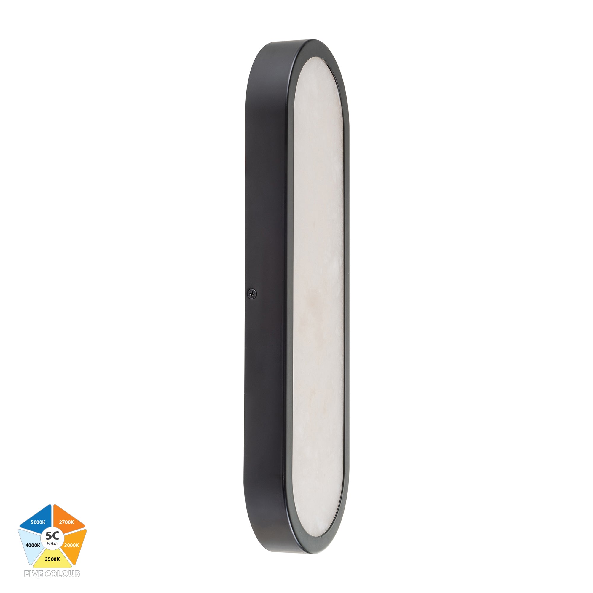HV8011S-BLKALB - Auster Black with Alabaster Glass Wall Light