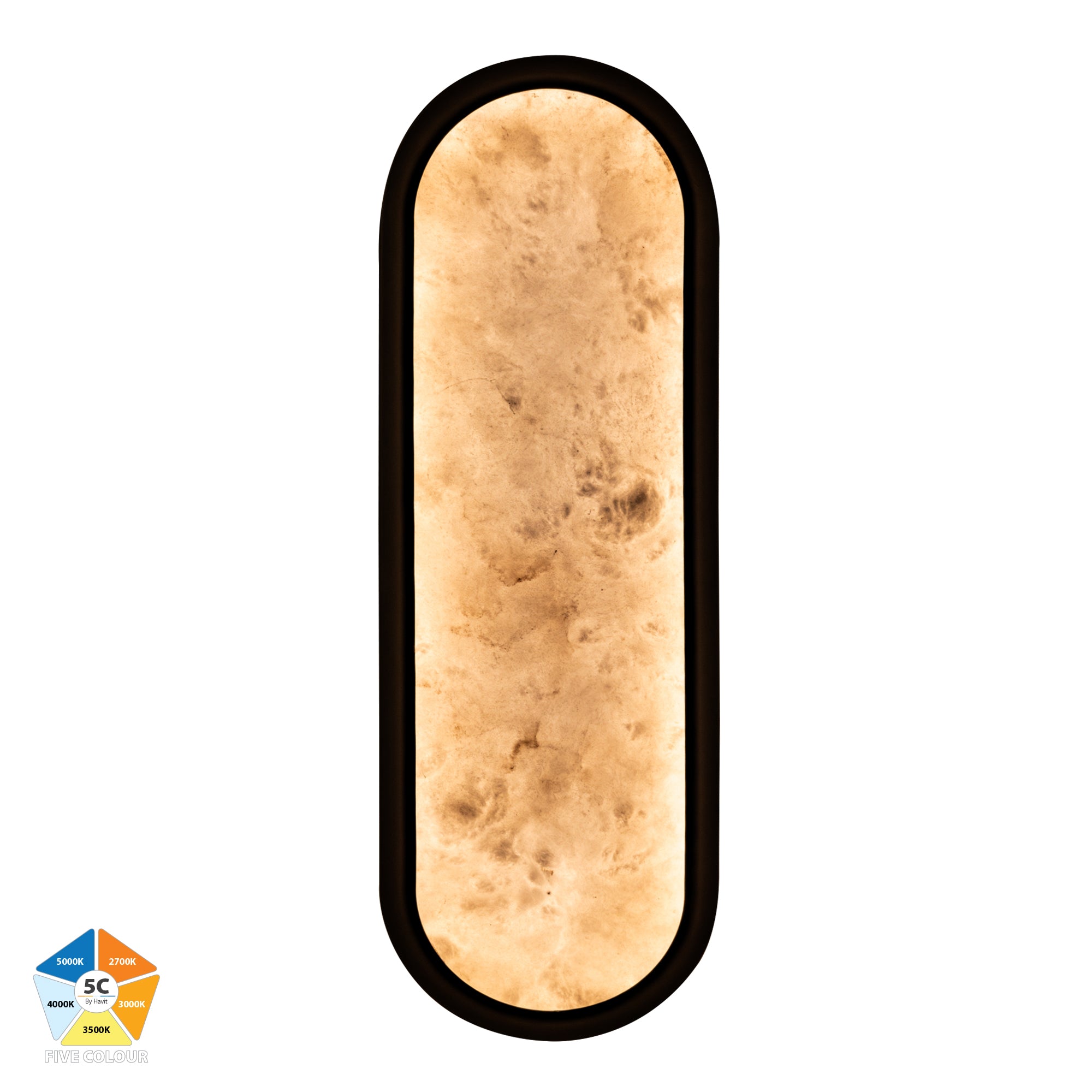 HV8011S-BLKALB - Auster Black with Alabaster Glass Wall Light
