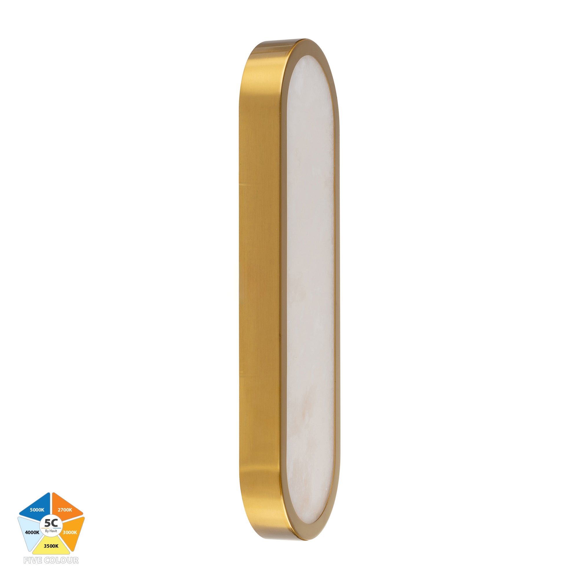 HV8011S-GLDALB - Auster Gold with Alabaster Glass Wall Light