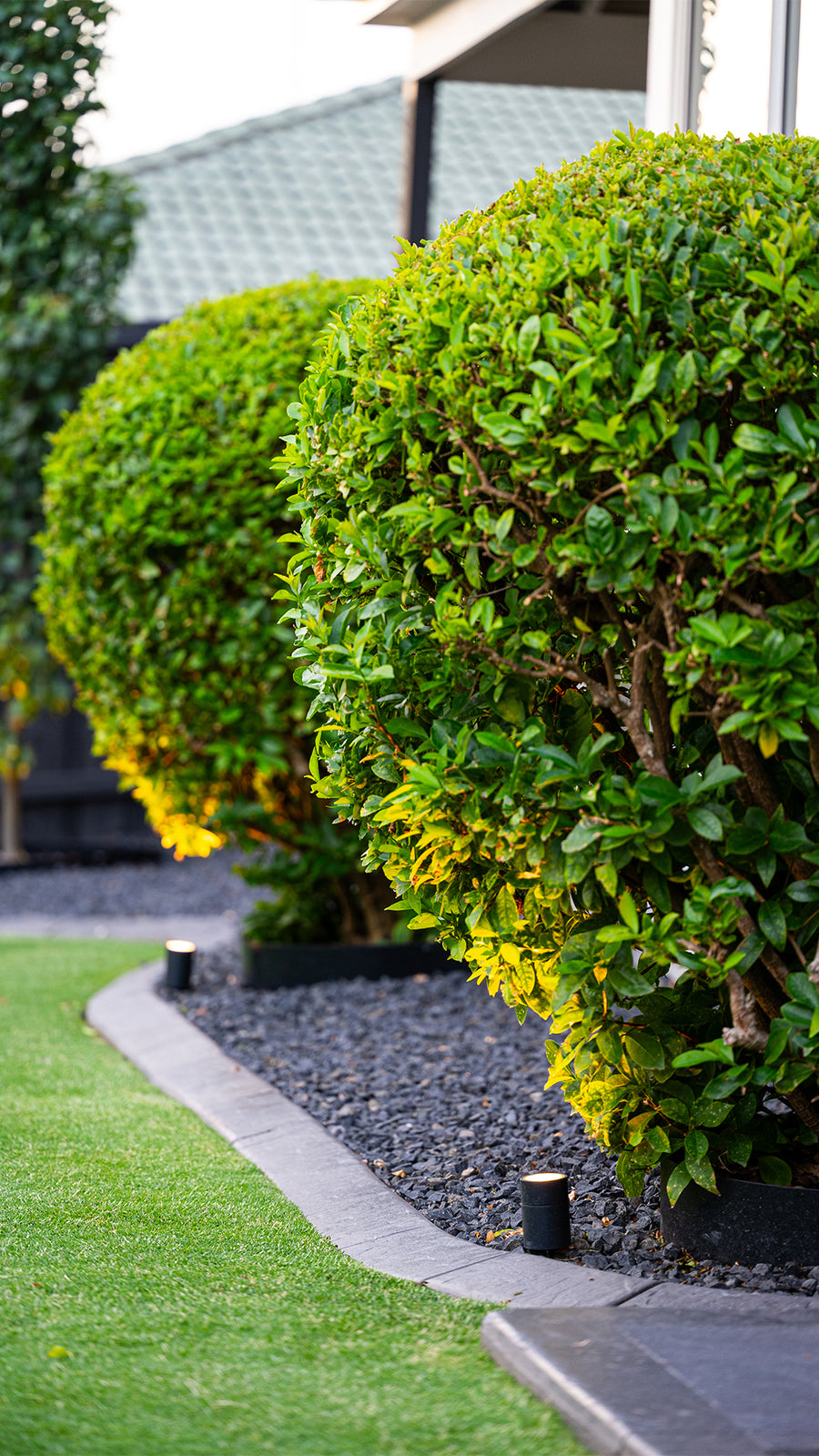 Garden Spike Light Uplighting Hedge Feature