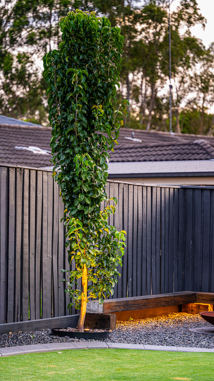 Garden Spike Light and LED Strip Lighting Around Backyard Tree and Bench