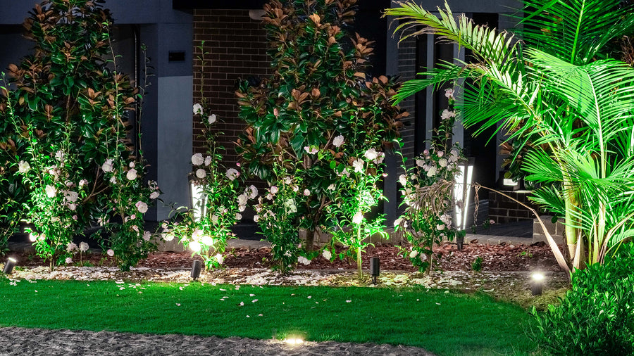 Havit Garden Spike Lights Uplighting Flowering Bushes and Plants at Night
