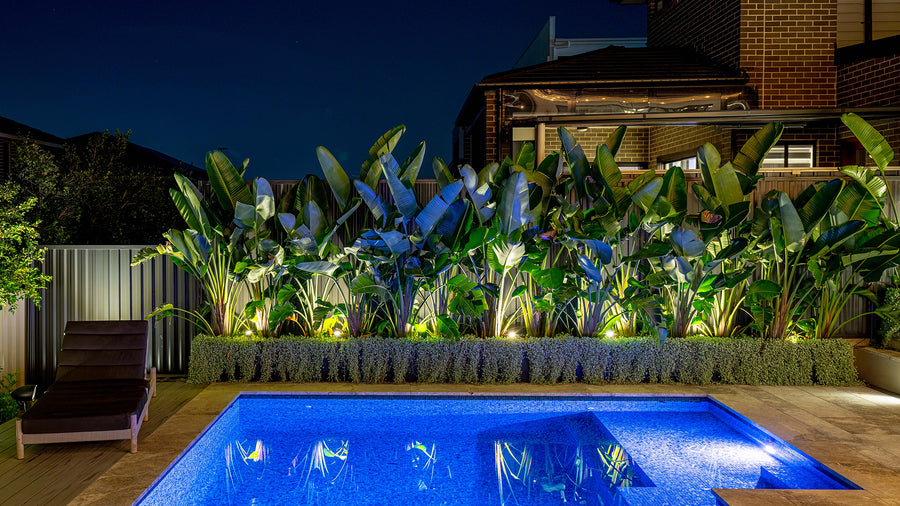 Havit Garden Spike Lights Uplighting Tropical Plants Along a Residential Pool at Night