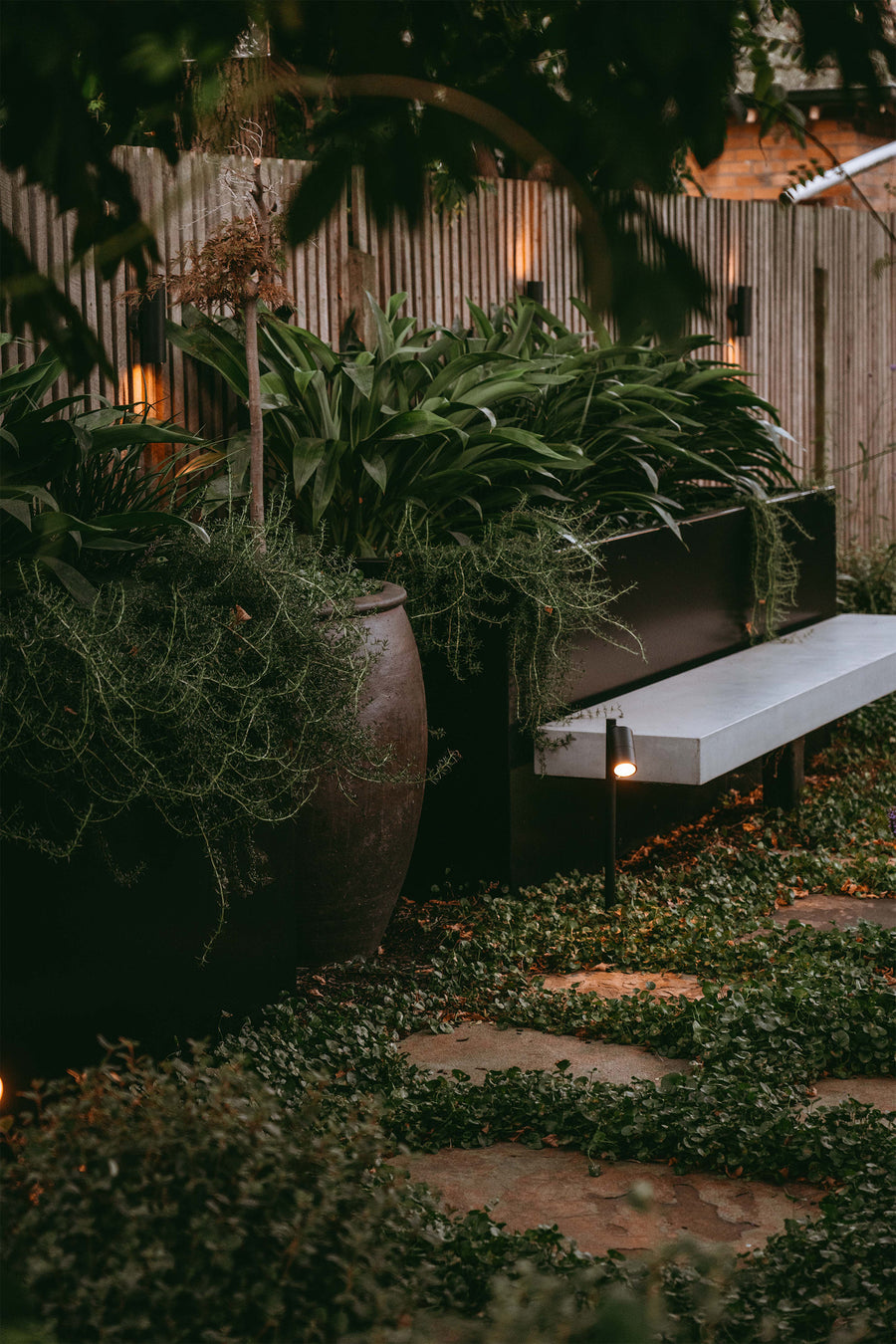 Warm LED spike light and up down wall light illuminating a lush garden at dusk