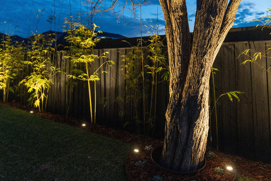 Outdoor Uplights Around Backyard Tree and Bamboo Garden